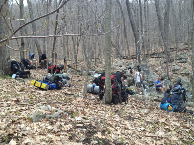 c945abf974c8e24d1db0767511714b47